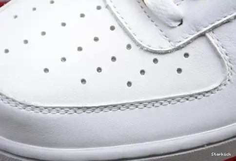 FO AIR FO FI NIKE FORCE LOW AQ5107-100 1 0522